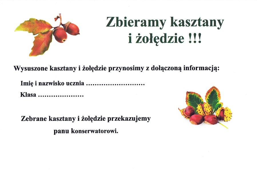 Grafika: Zbieramy kasztany i żołędzie !!!