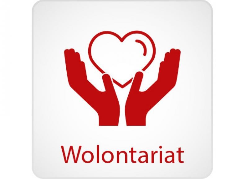 Grafika: Wybory - wolontariat