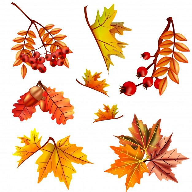  Grafika #0: Uwaga! Konkurs dla wszystkich pt.,, JESIENNY PEJZAŻ"