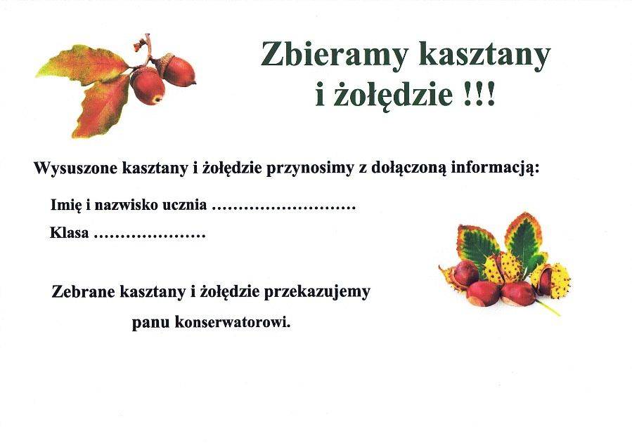  Grafika #0: Zbieramy kasztany i żołędzie !!!