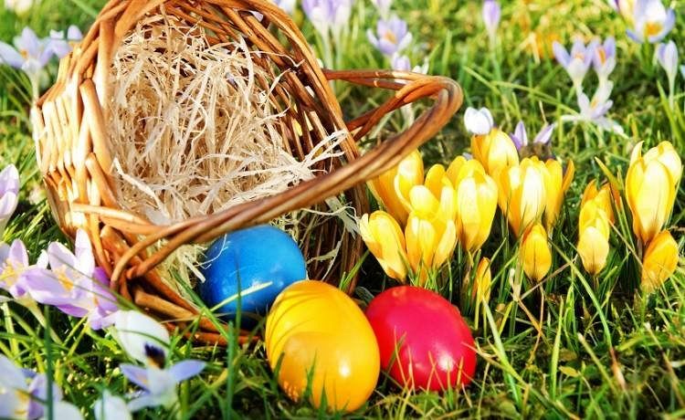  Grafika #0: Życzenia świąteczne