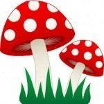 Grafika #0: Godziny pracy nauczycielek