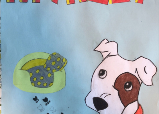 Grafika 5: Konkurs- J.angielski