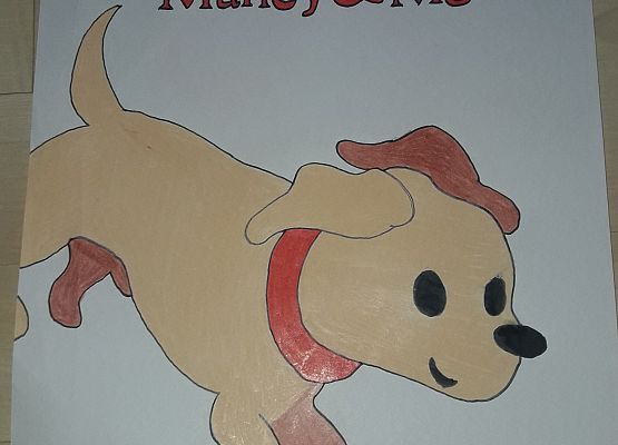 Grafika 7: Konkurs- J.angielski