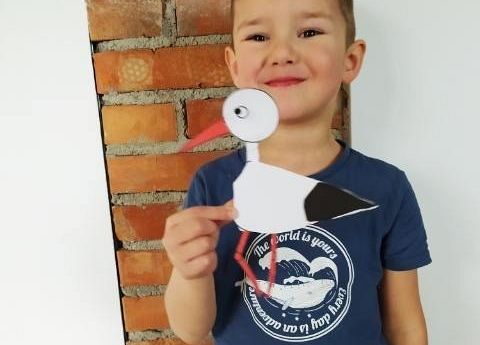 Grafika 5: Nasze pracusie