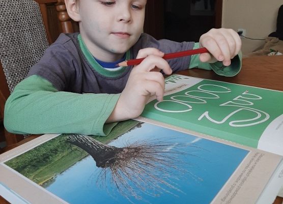 Grafika 17: Nasze pracusie