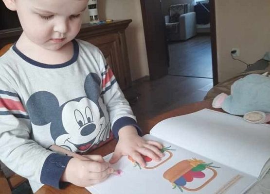 Grafika 1: Nasze pracusie