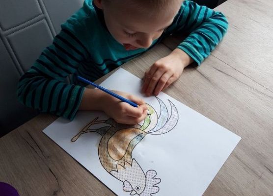 Grafika 35: GALERIA PRACUSIÓW