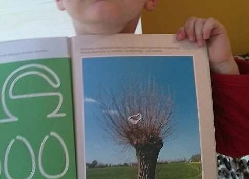 Grafika 61: GALERIA PRACUSIÓW cz. 2