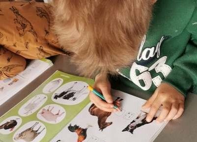 Grafika 64: GALERIA PRACUSIÓW cz. 2