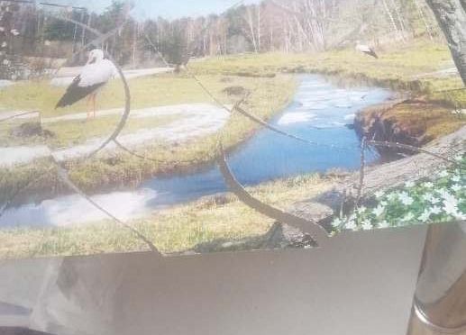 Grafika 1: GALERIA PRACUSIÓW CZ. 6