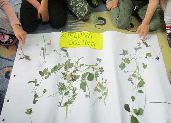 Praca grupy starszej