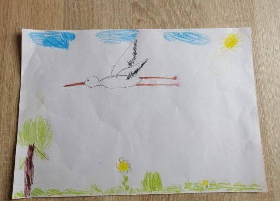 Grafika 9: DOCIEKLIWOŚĆ