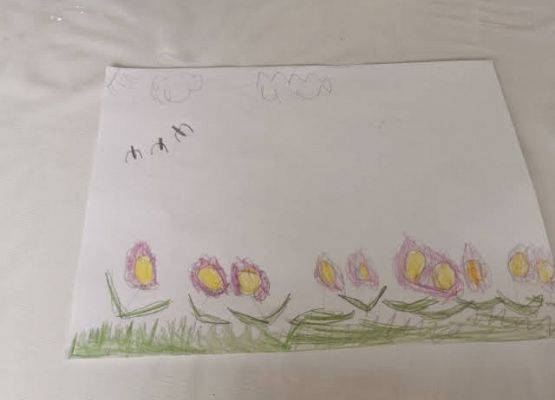 Grafika 10: DOCIEKLIWOŚĆ