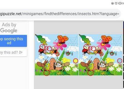 Grafika 11: JĘZYK ANGIELSKI