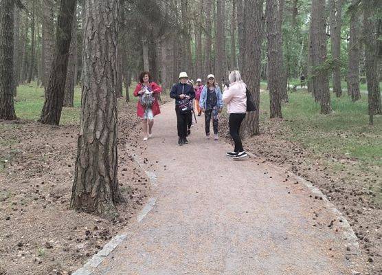 Grafika 36: Wycieczka na Ruchome Wydmy - klasa III