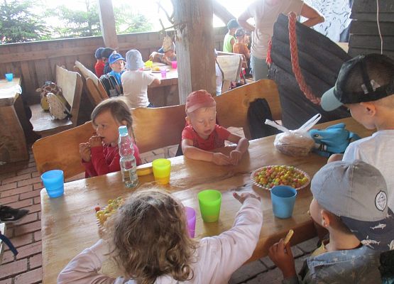 Wycieczka do Grąbkowa