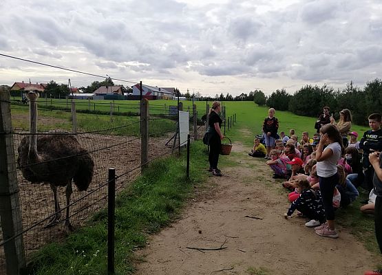 Zabawy i zwiedzanie na Farmie w Kniewie