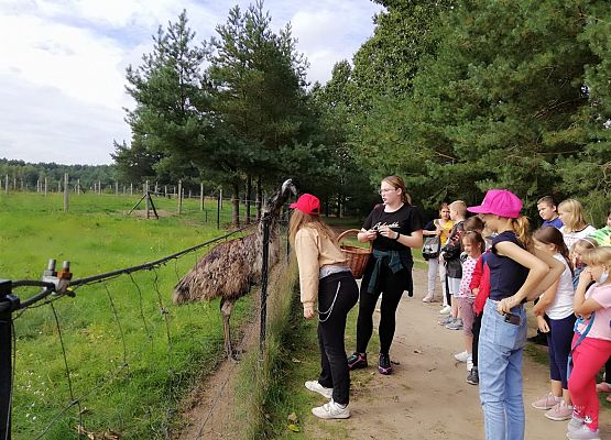 Zabawy i zwiedzanie na Farmie w Kniewie