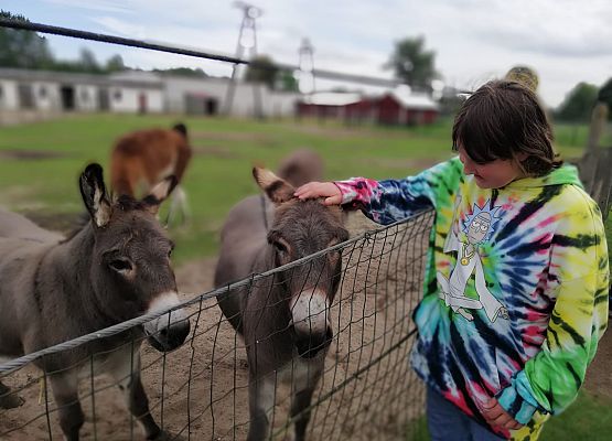 Zabawy i zwiedzanie na Farmie w Kniewie
