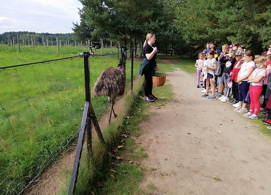 Zabawy i zwiedzanie na Farmie w Kniewie