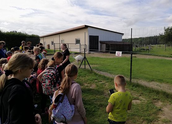 Zabawy i zwiedzanie na Farmie w Kniewie