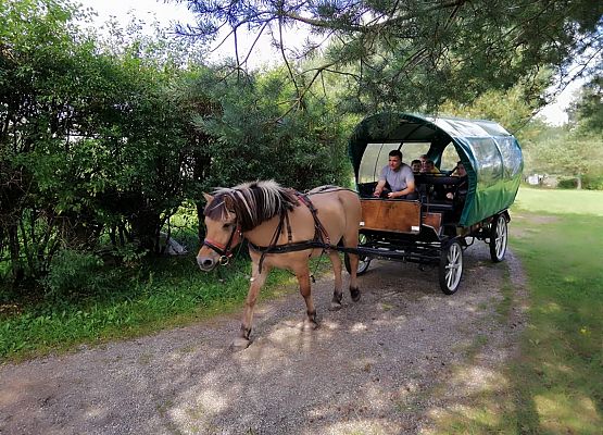 Zabawy i zwiedzanie na Farmie w Kniewie