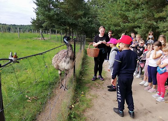 Zabawy i zwiedzanie na Farmie w Kniewie