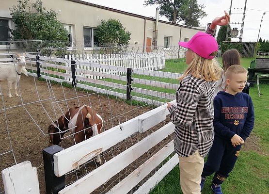 Zabawy i zwiedzanie na Farmie w Kniewie