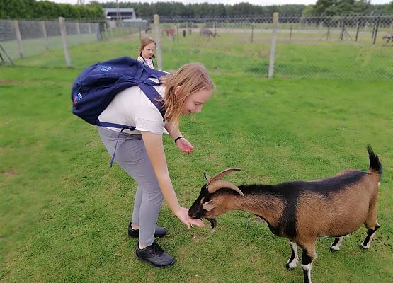 Zabawy i zwiedzanie na Farmie w Kniewie