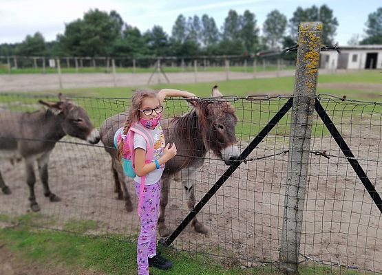 Zabawy i zwiedzanie na Farmie w Kniewie
