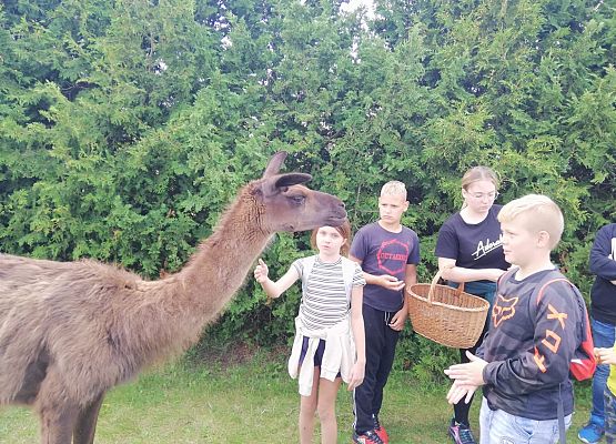 Zabawy i zwiedzanie na Farmie w Kniewie