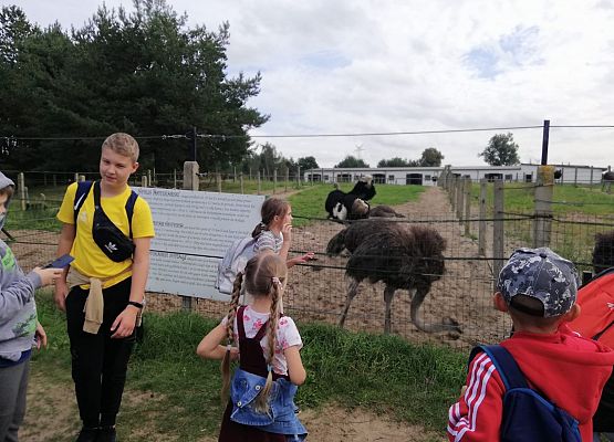 Zabawy i zwiedzanie na Farmie w Kniewie