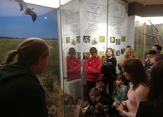 Ekosystem łąk i torfowisk