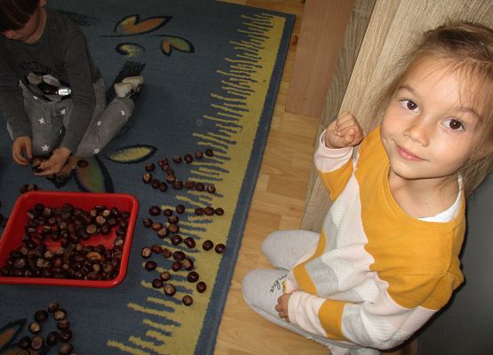 Układanie liter z kasztanów