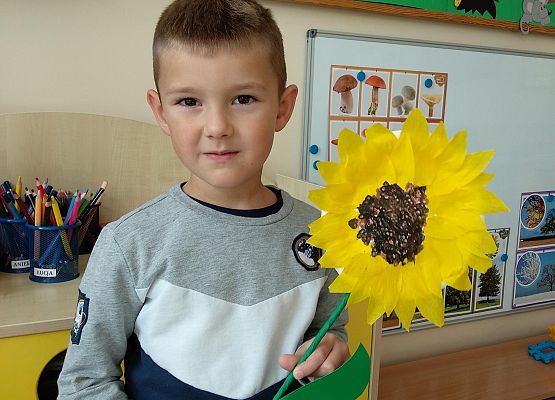 Grafika 10: SŁONECZNIKI