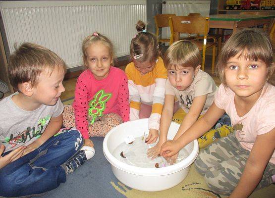 Żąglówka - praca Starszaków