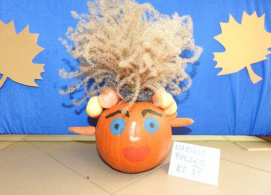 Mariusz Paczos KL. VI