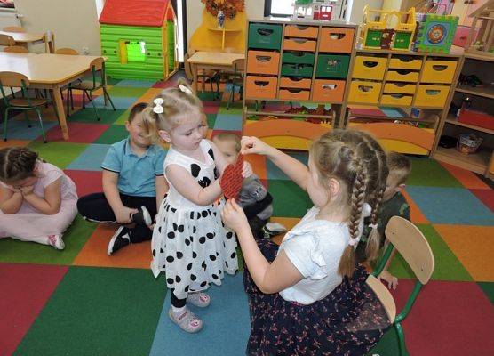 Grafika 9: ANDRZEJKI