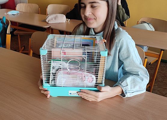 Grafika 19: Dzień bez plecaka