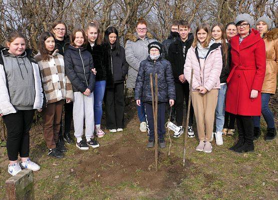 Dąb Wybicki rośnie przed naszą szkołą - zdjęcie zbiorowe uczestników po posadzeniu drzewka.