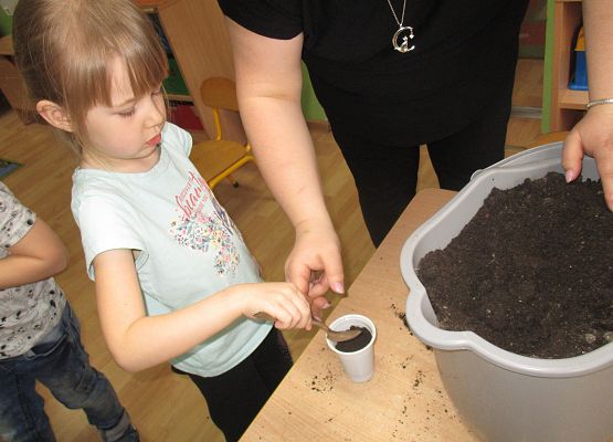 Grafika 19: Galeria Przedszkolaków