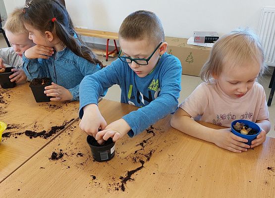 Grafika 7: Zawitała do nas WIOSNA