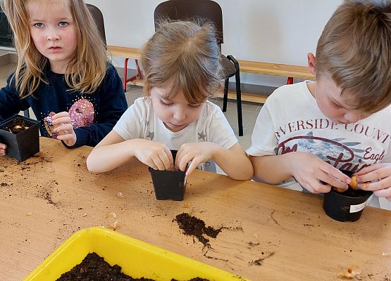 Grafika 8: Zawitała do nas WIOSNA