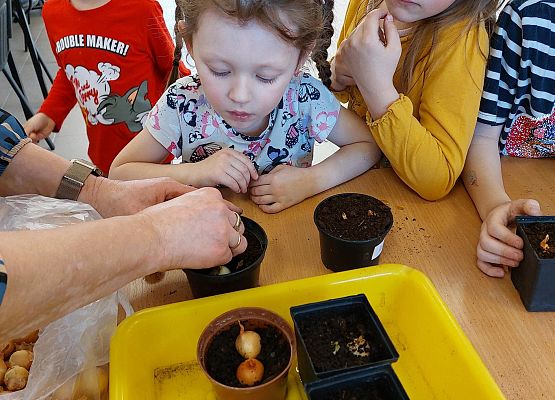 Grafika 9: Zawitała do nas WIOSNA