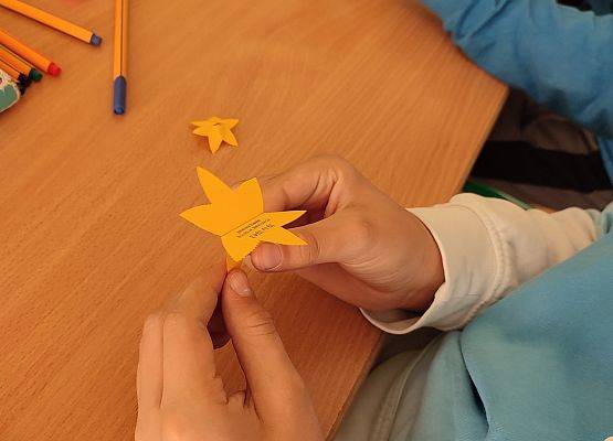 Grafika 8: #AkcjaŻonkile