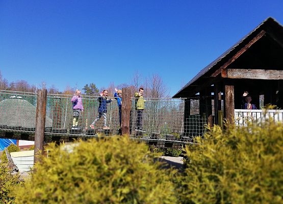 Na linowym torze przeszkód