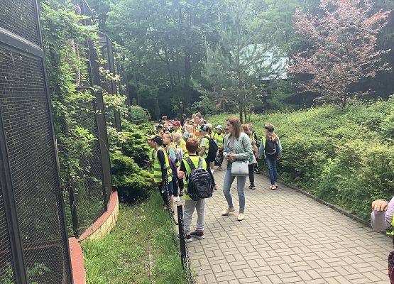 Obserwacja zwierząt grafika