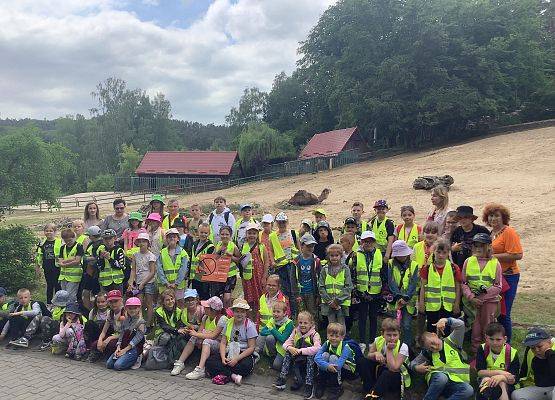 Wspólne zdjęcie grafika