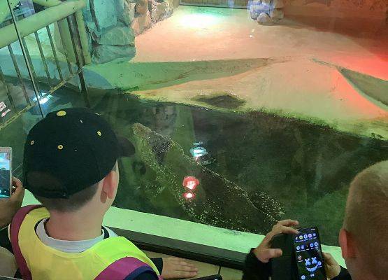 Obserwacja zwierząt grafika